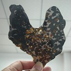 Natural Sericho Pallasite Meteorite 51 4 Grams Perfect Cut Slices Glaze Sealed