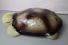 Cloud B Twilight Tranquil Turtle Star Night Light Sky Projector Toy Kid Child