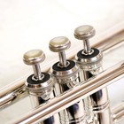  used  Bach   Bach 182ml37sp B Trumpet  1 Year Warranty   price Reduction 