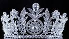 Floral Clear Austrian Crystal Rhinestone Hair Tiara Crown Wedding T12155 Silver