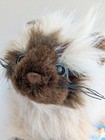 Ganz Webkinz Himalayan Cat Nwt Sealed Unused Code  retired Hm165 