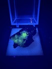 Fluorescent Sharp Cuprian Adamite On Matrix  thumbnail  - Ojuela Mine  Mexico