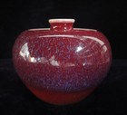 Old Chinese Hand Carving Apple Red Purple Porcelain Pot Vase  kangxi  Mark