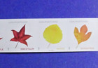 Us 5971-5975 Vibrant Leaves Nd Postcard  f  Rate Plate  Coil Strip Of  5  Pnc