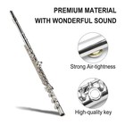 17 Key Closed Hole Flute Nickel Silver With Gloves cleaning Rod Case
