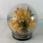 Vintage Bowl-o-beauty Co Real Roses Orange Glass Globe Melrose 8025 No Base