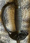 Us M 1860 Staff And Field Officers Sword W  Original Scabbard   Drag Tip