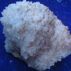 Calcite With Hematite Inclusions  sw   Lw  Fluorescent   - Frizzington   England