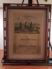 German Racing Pigeons Achievement Award 1931