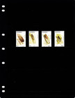  3 50 Scott Value - 2002 Mauritius Cicadas Insects Indian Ocean Cv Mnh Nh Umm