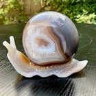 1 3lb  Natural Purple Agate Geode Snail Carving Crystal Animal Statue Home