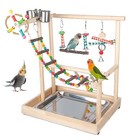 Small Bird Playground Parakeet  Bird Play Ground Parrots Table Top Parrot 
