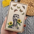 Oracle Of Oddities By Claire Goodchild 60 Card Oracle Deck Used