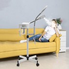 2in1 Hot Facial Steamer 5x Led Magnifying Lamp Salon Spa Skin Care