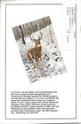 Pennsylvania Game News April 1989 Cover By Gerald W Putt Pintails