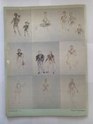 1976 American Ballet Theatre Souvenir Program  Vgc Vintage