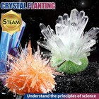 Diy Crystal Growing Kit Science Educational Toy     Kids Stem Experiment
