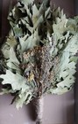12st Oak Canadian Brooms herbs Sauna Banya Venik Whisks Eiche 2026 Ukrainian Fre
