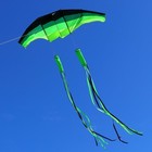 Huge 3d Gliders 120  Giant Single Line Kite With Two 17  3d Kite Tails For Beach