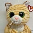 Ty Large Plush Beanie Bellies Buddy Mango The Tabby Cat Medium  9-10 Inch 