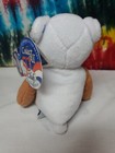Limited Treasures State Quarters Coin Teddy Bear Vermont  14