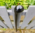 Traditional Blackthorn Walking Stick Cane With Glossy Knob Handle  Handmade Cane
