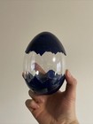 1pc Egg Shaped Container Water Bottle  navy Blue  500ml Tiktok
