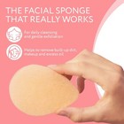 Facial Sponge For Daily Cleansing And Gentle Exfoliating  10 Pack - Made In Usa