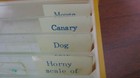 Vintage Microscope Prepared Slides set Of 12 Animals
