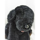 Dakin Black Dog Plush Puppy 10 Inch 1985 Stuffed Animal Toy