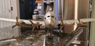 Vintage Pressed Metal Airplane Pan Am American World Airways N6519c 1950s Large