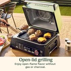 Cuisinart Flavorboost    8-in-1 Outdoor Electric Grill  Smoker   Air Fry 