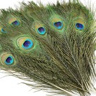 Ihufeather 10pcs Real Natural Peacock Eye Feathers 10-12 Inch For Diy Craft Flor