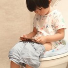 Toddler Travel Potty Seat 2-in-1 Portable Kids Toilet Training Chair