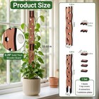 Wooden Extendable Plant Trellis For Potted Plants Indoor