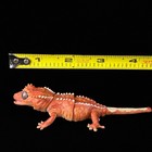 Bandai Crested Gecko Red Pinstripe Diversity Of Life On Earth Repti Figure Japan