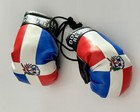 Dominican Republic Mini Boxing Gloves Country Pride Flag Car Truck Auto Gift