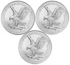 Lot Of 3 - 2025 American  1 Eagle Coins 1 Oz  999 Fine Silver Bu - In Stock