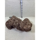 Fao Schwarz Teddy Bear Kids 8 Inch Brown Good Shaggy Plush Stuffed Animal