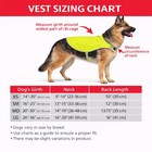 Kong Reflective Dog Safety Vest Walking High Visibility Outdoor Harness