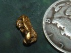 Natural Gold Nugget California Gold  55 Gram