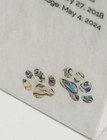 Pet Cremation Urn For Dog Or Cat Ashes Marble Paw Print Memorial 115 Cubic Inch