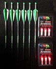 New 6 Victory Crossbow Arrows   Bolts   6 Red Lighted Nocks   20  Or 22   Sport