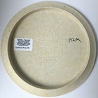      Rare Vibram Ascent Vibram Open Maple Hill Winner 172g Medium Oop Disc Golf    