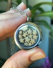 Big Silver-tone Crinoid Star Fossil Locket Necklace