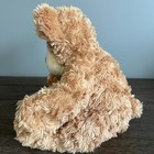 First   Main Shaggy Hair Sitting Light Brown Teddy Bear Plush