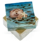 Hand Painted Air Brushed Otter Capiz Oyster Shell Jewelry Trinket Box 3  New 