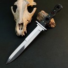 11 9  Stainless Dagger Knife Full Tang Wood Handle Fix Blade Leather Sheath