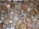 2 Lb Lot  Unopened Geodes agates nodules Semi Solid - Solid Lapidary  qty  8-12 
