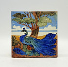Rare Relief Moulded Tile Peacock Design By Carter   Co C1910
